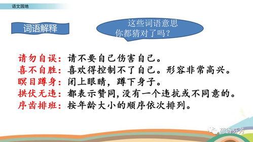 小学语文微课视频,小学语文知识要点精讲