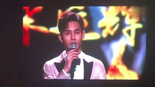 王凯获奖视频,获奖视频背后的辉煌瞬间