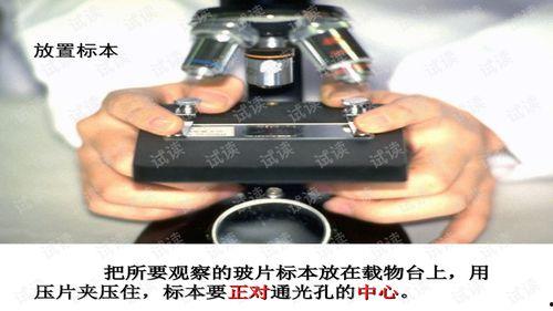 如何使用显微镜视频,轻松掌握显微镜使用技巧