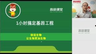 高中生物基因工程视频