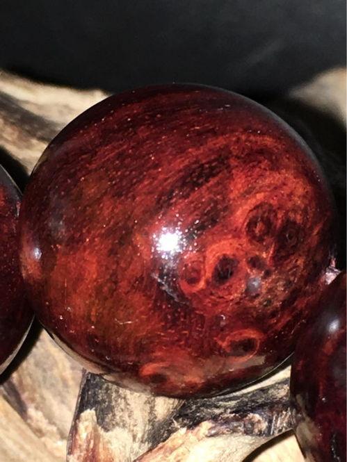 印度小叶紫檀视频,神秘木种的魅力与价值揭秘