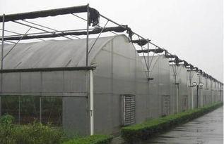 温室大棚建设视频,从选址到完工