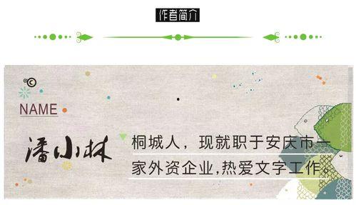 地摊推销视频,街头热销！揭秘地摊推销视频背后的惊人销量秘诀