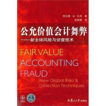 会计舞弊视频,视频深度解析与案例分析