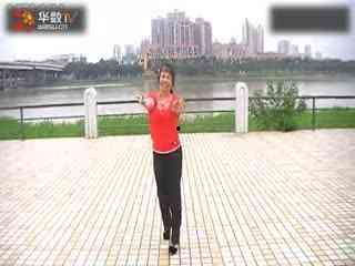 蒙古人广场舞视频,传承民族文化的活力展现