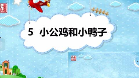 小公鸡和小鸭子的视频,小公鸡与小鸭子的欢乐互动时光