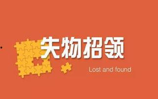 失物招领视频,见证物品归位的温馨瞬间