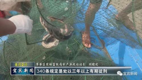 水中救视频,水中救援英勇瞬间全程回顾