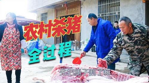 杀猪姐杀猪视频大全,杀猪姐杀猪视频大全背后的真相与警示