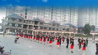 规范交谊舞慢三视频,慢三舞步中的浪漫时光